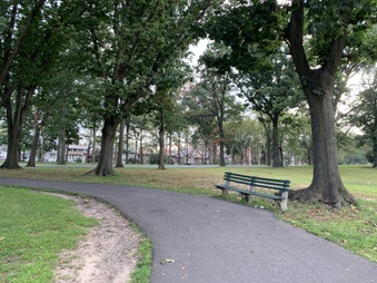 Enlarge photo 33
