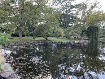 Enlarge photo 17