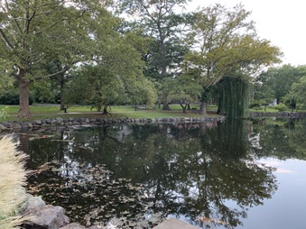 Enlarge photo 14