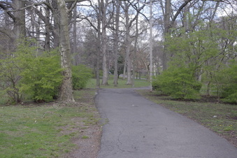Enlarge photo 10