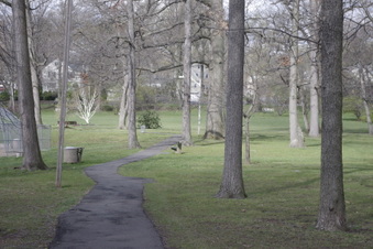 Enlarge photo 14