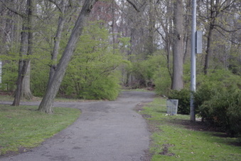 Enlarge photo 15