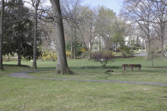 Enlarge photo 19