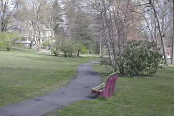 Enlarge photo 20