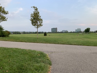 Enlarge photo 19
