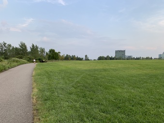 Enlarge photo 14