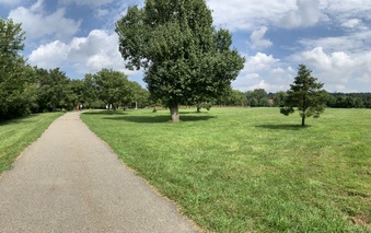Enlarge photo 30
