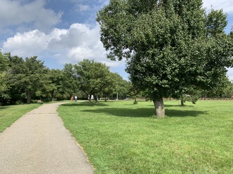Enlarge photo 32