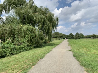 Enlarge photo 28