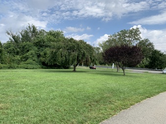 Enlarge photo 42