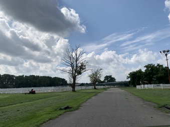 Enlarge photo 63