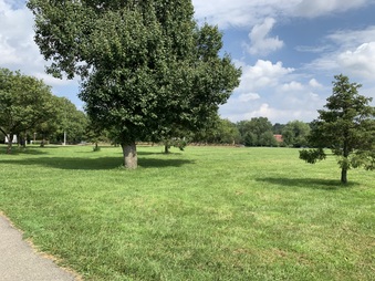 Enlarge photo 31
