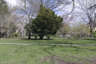 Enlarge photo 13