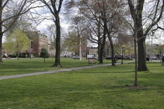 The Green