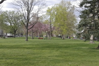 Enlarge photo 2