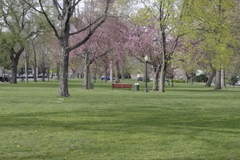 Enlarge photo 3