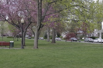 Enlarge photo 5