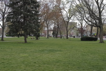 Enlarge photo 6