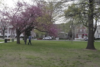 Enlarge photo 13