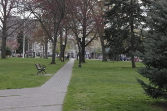 Enlarge photo 14