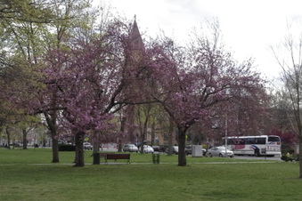 Enlarge photo 17