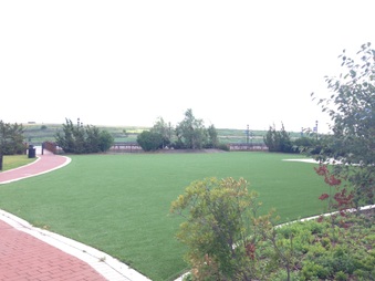Enlarge photo 5