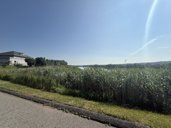 Enlarge photo 19