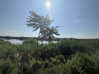 Enlarge photo 14