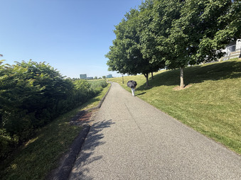 Enlarge photo 23