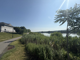 Enlarge photo 39
