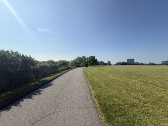 Enlarge photo 53