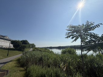 Enlarge photo 54