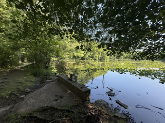 Enlarge photo 25