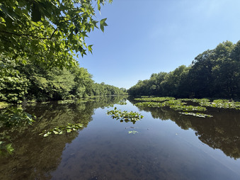 Enlarge photo 31