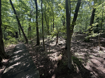 Enlarge photo 26