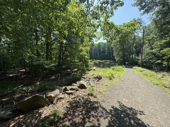 Enlarge photo 27