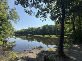 Enlarge photo 32