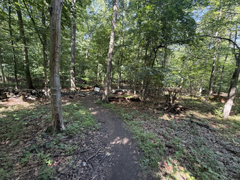 Enlarge photo 39