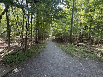 Enlarge photo 36