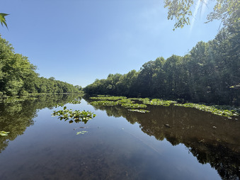 Enlarge photo 29