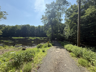 Enlarge photo 30