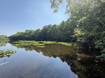 Enlarge photo 21
