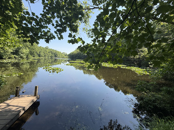 Enlarge photo 40