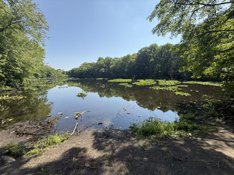 Enlarge photo 37