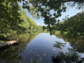 Enlarge photo 43