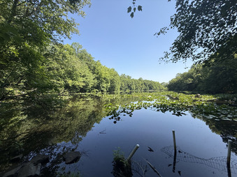 Enlarge photo 35