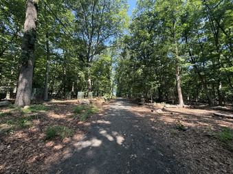 Enlarge photo 24