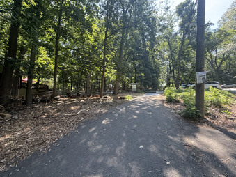 Enlarge photo 46
