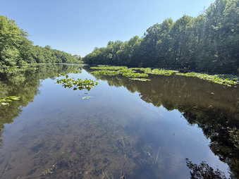 Enlarge photo 49