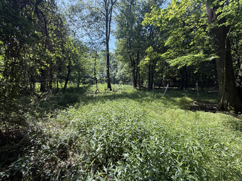 Enlarge photo 50